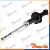 Amortisseur de suspension arrière pour CITROËN | A-CT-052, 40-267250019